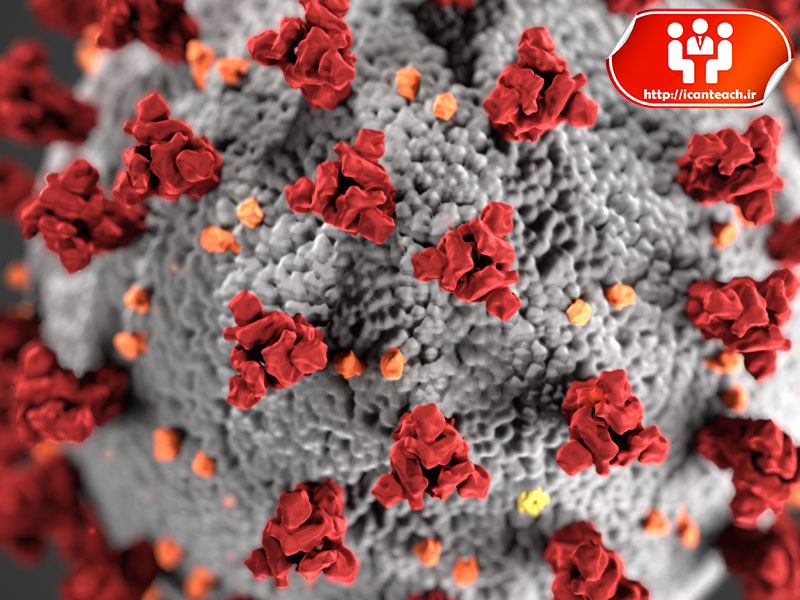 افزایش توسعه نرم افزار با شیوع ویروس کرونا